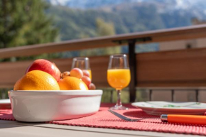 Appartement lumineux à Chamonix avec vue imprenable sur Mont Blanc et parking Chamonix-Mont-Blanc